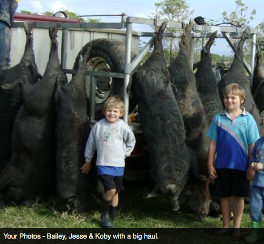 Screen Shot 2013-10-02 at 1.38.12 PM